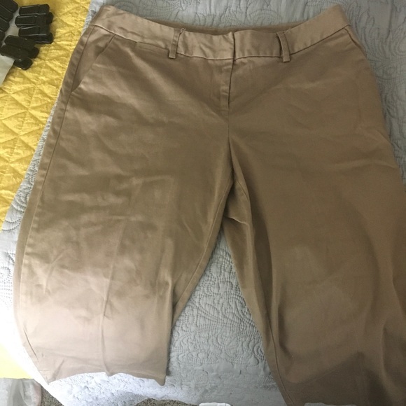 Capris - Picture 2 of 5